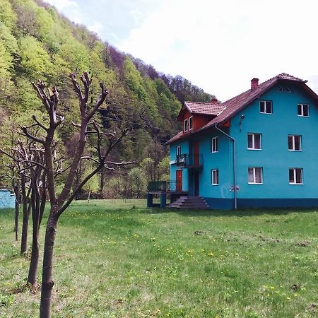 Casa Verde Rîu de Mori 外观 照片