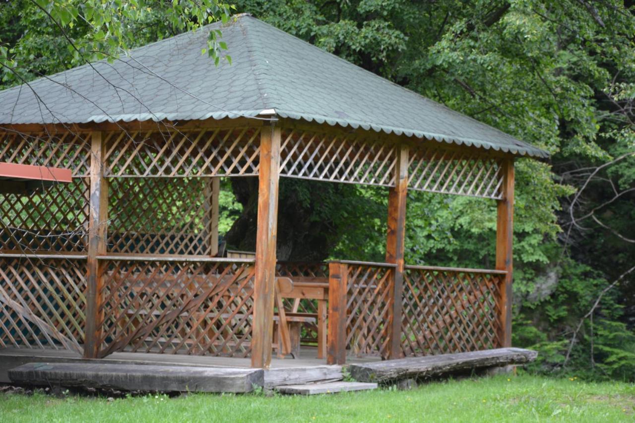 Casa Verde Rîu de Mori 外观 照片