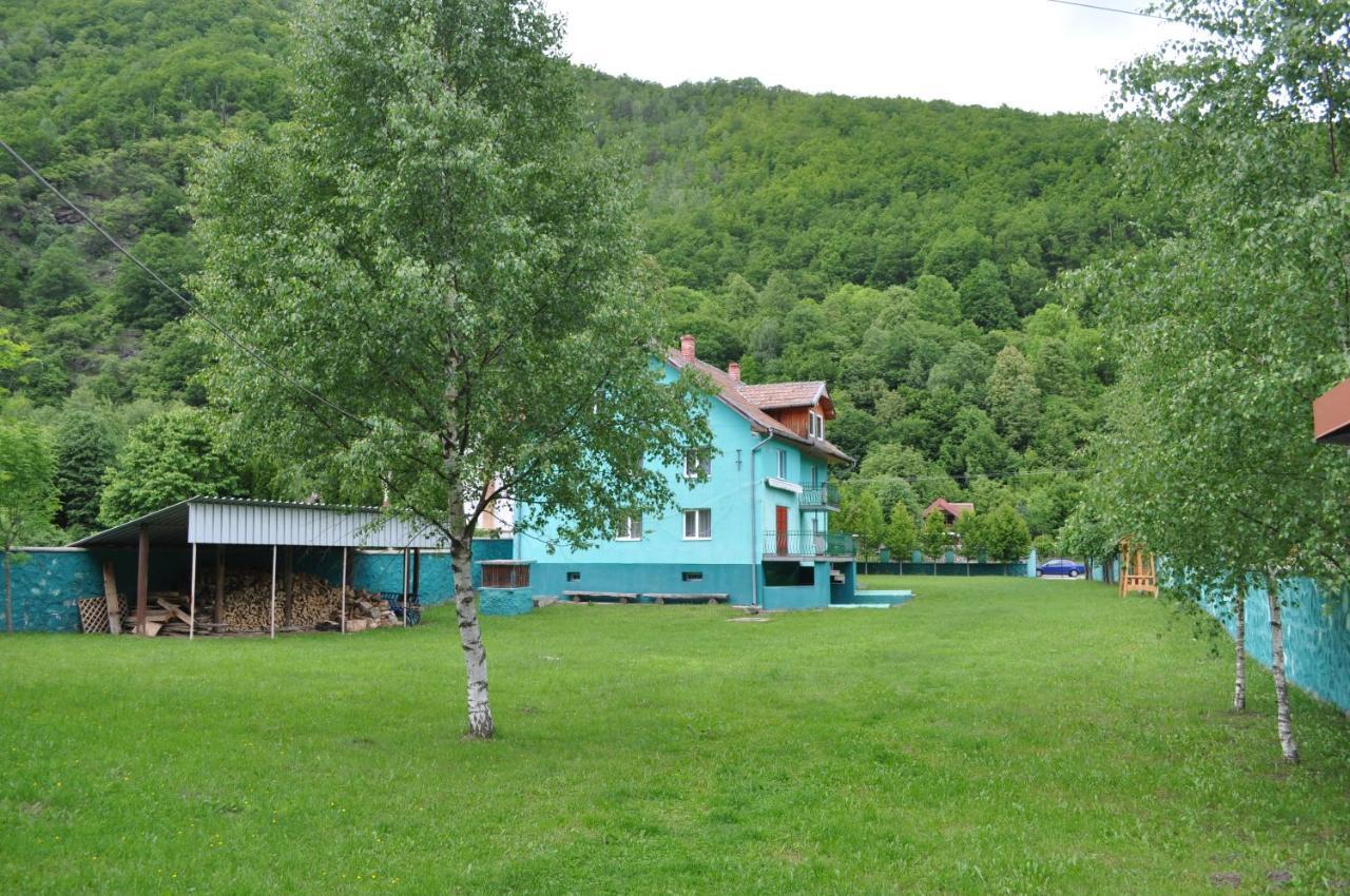 Casa Verde Rîu de Mori 外观 照片