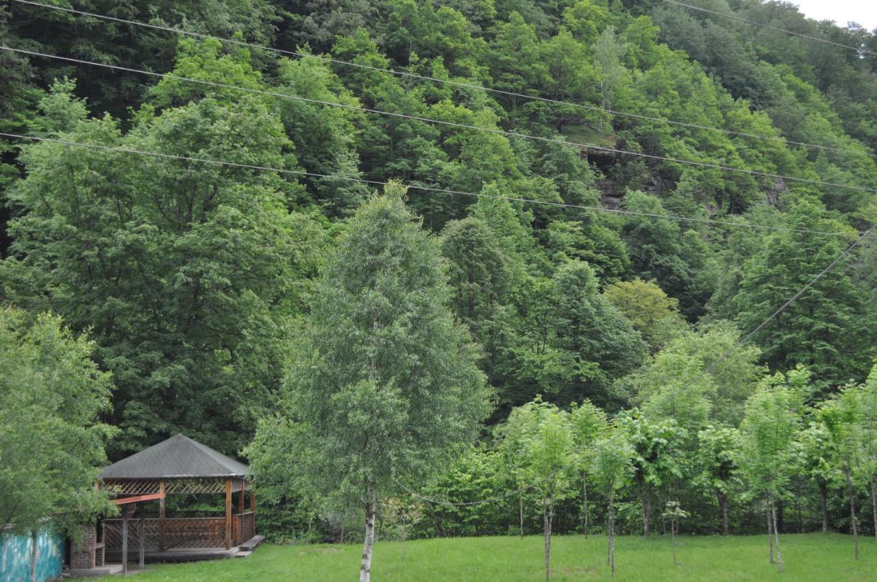 Casa Verde Rîu de Mori 外观 照片