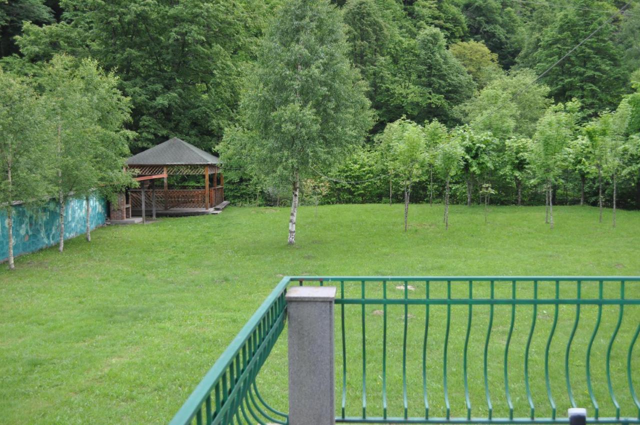 Casa Verde Rîu de Mori 外观 照片