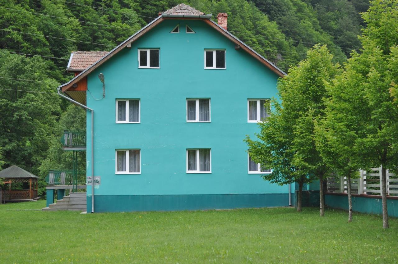 Casa Verde Rîu de Mori 外观 照片
