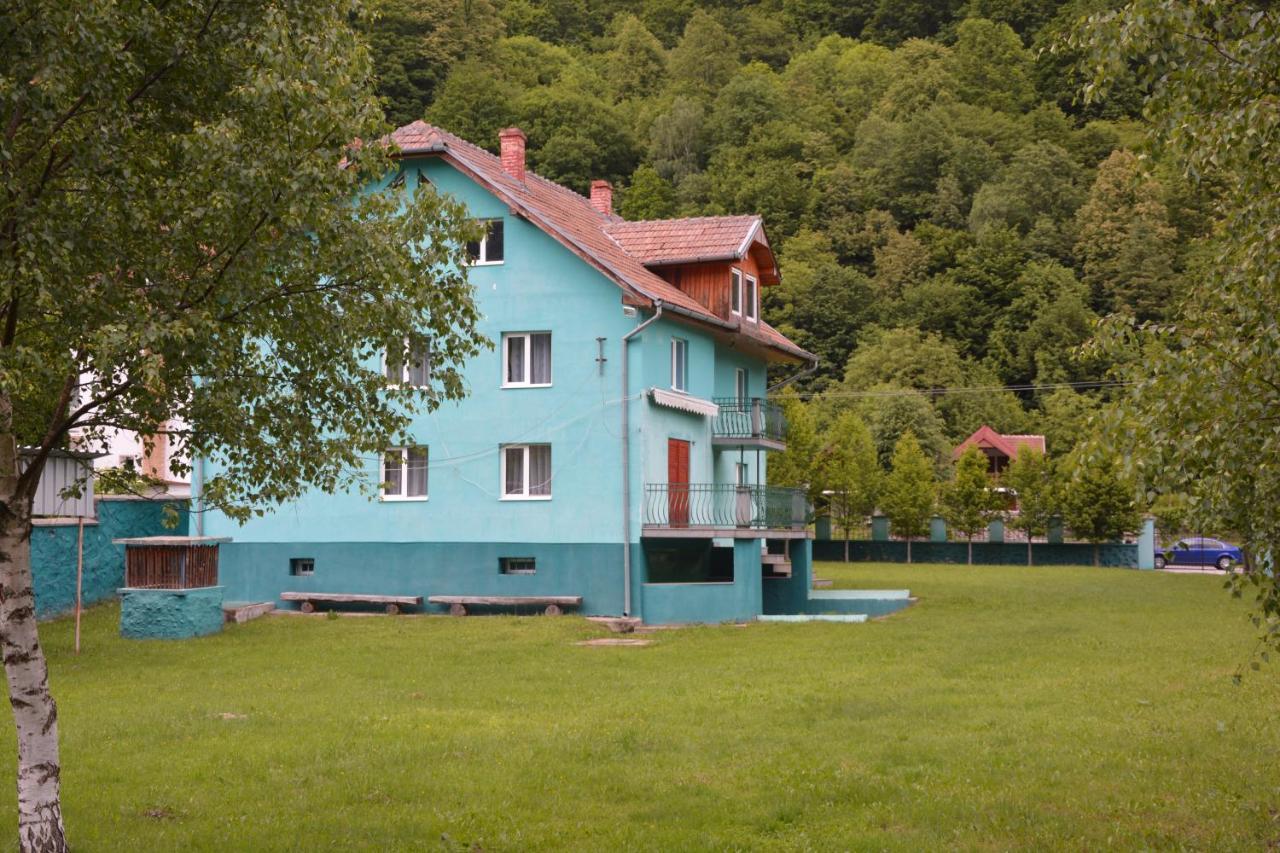 Casa Verde Rîu de Mori 外观 照片