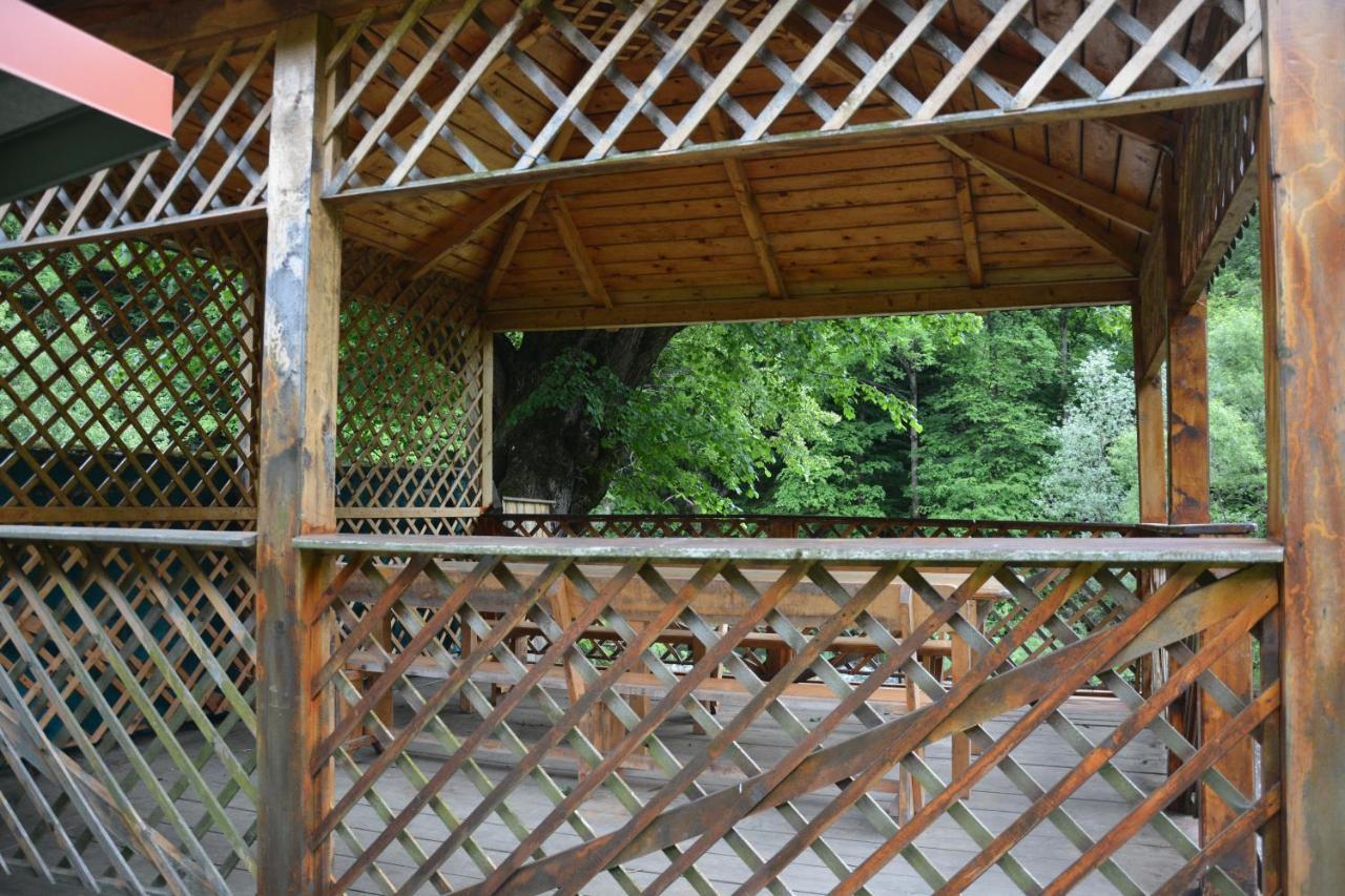 Casa Verde Rîu de Mori 外观 照片