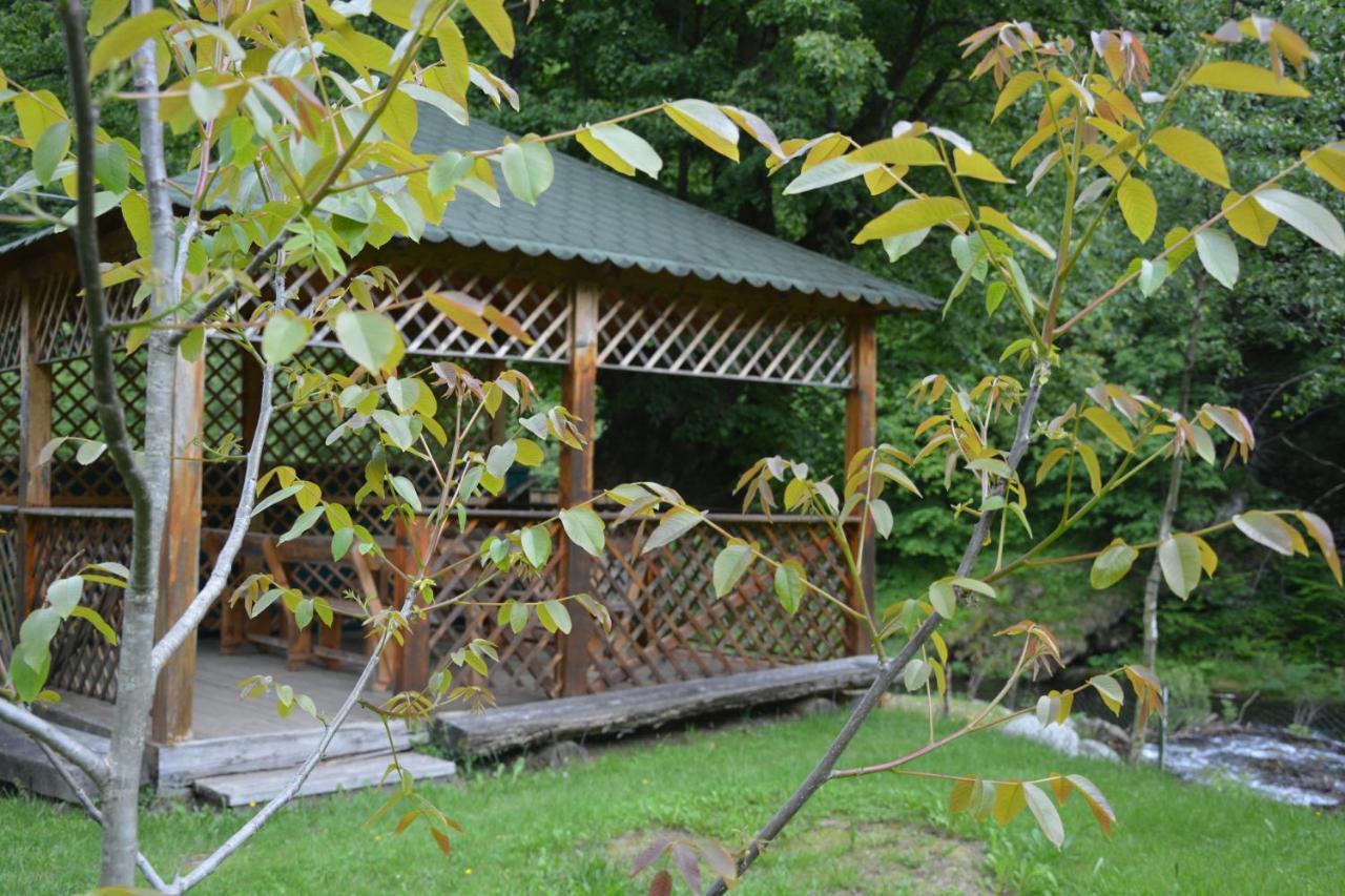 Rîu de Mori Casa Verde酒店 外观 照片